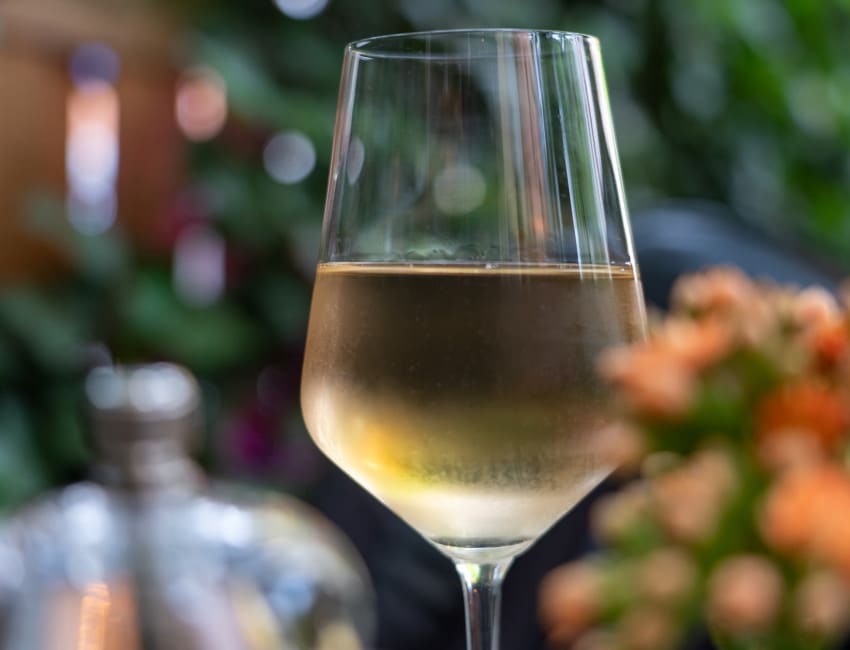 celina-albertz-mGhlWTP118Y-unsplash