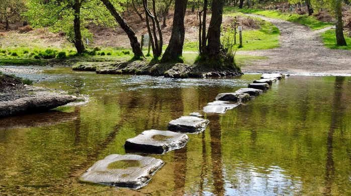 29762116656-26731fed8d-o-4