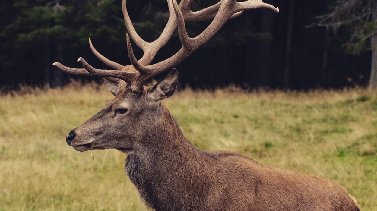 andrea-chioldin-6LChsc9M2rA-unsplash