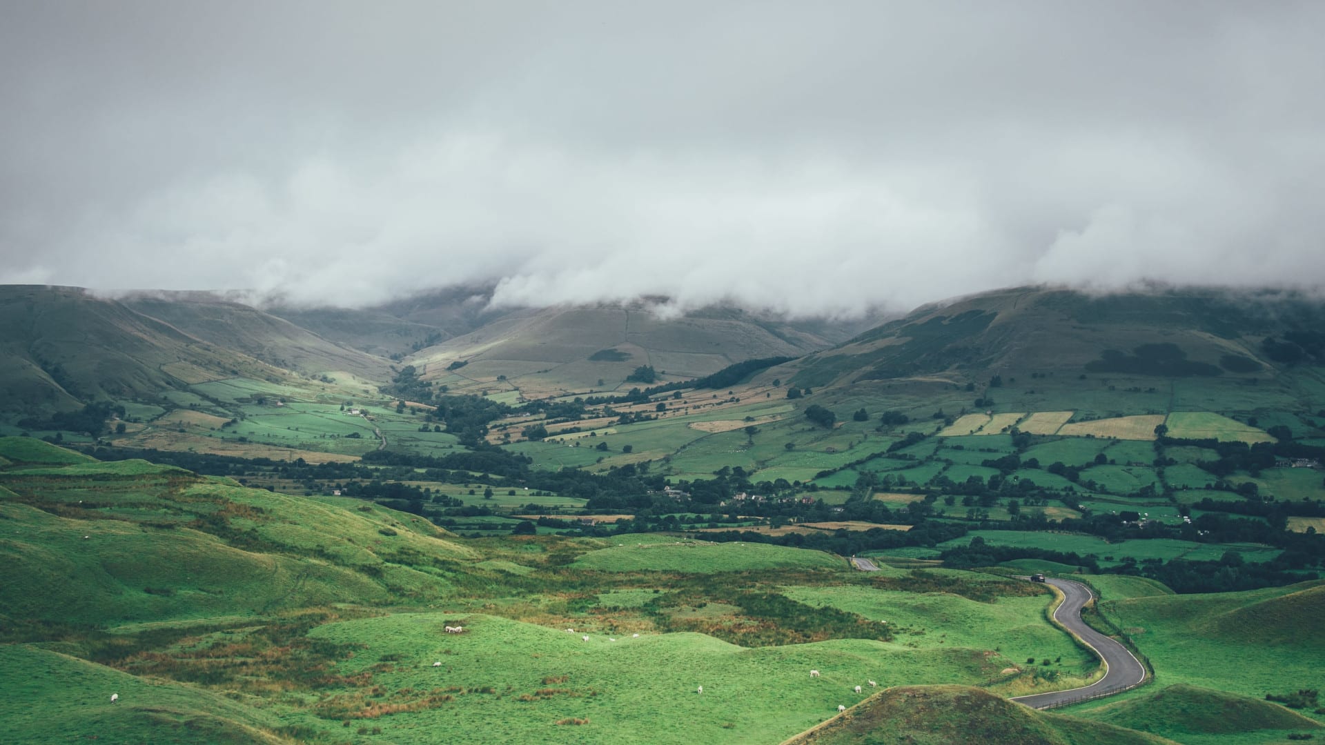 greg-willson-mFtNB9wflas-unsplash