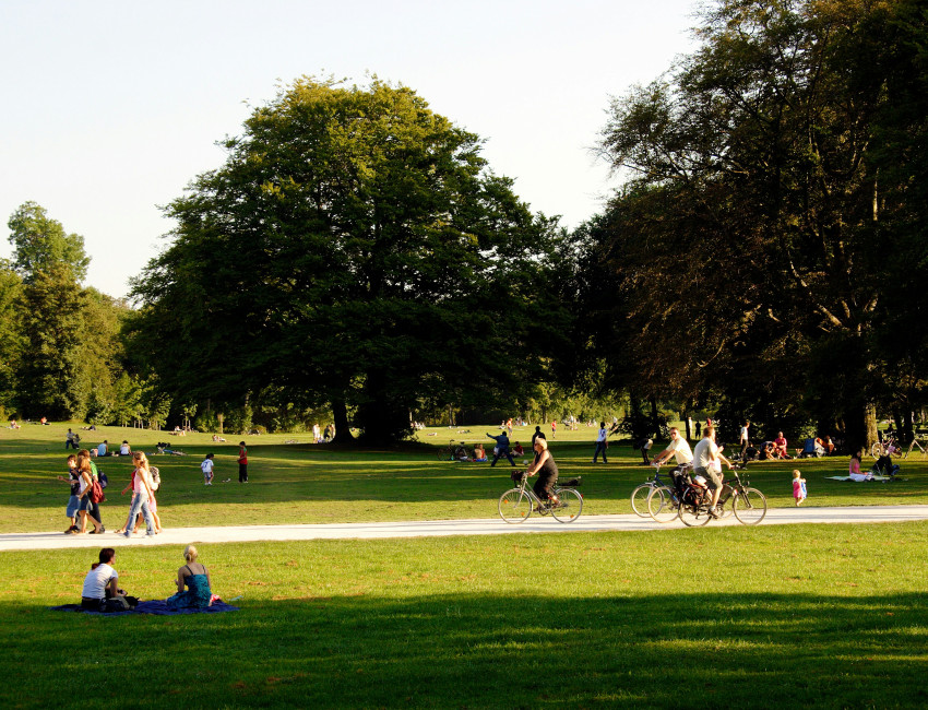 Picnic in the park