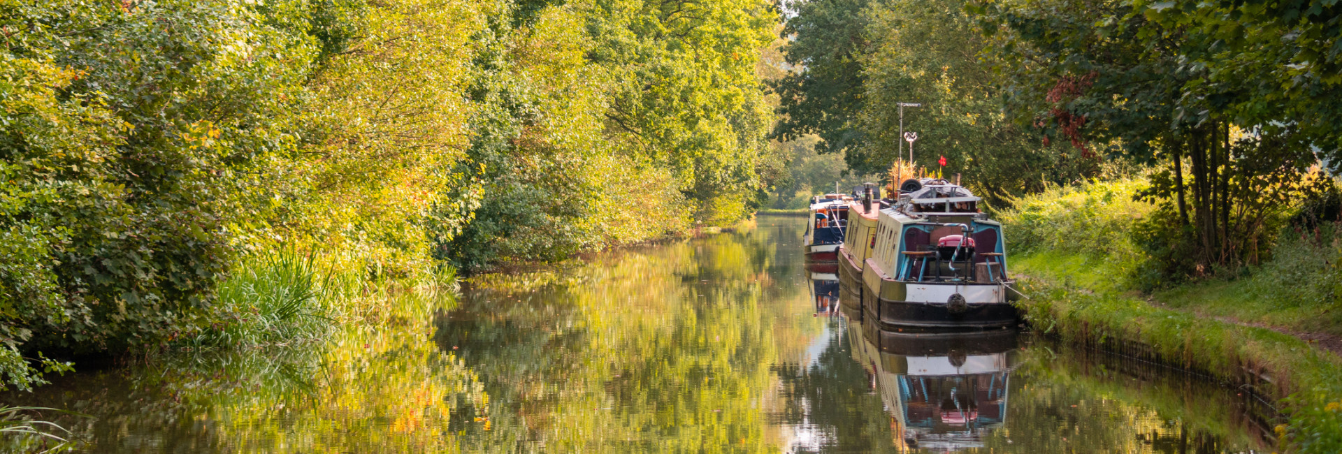 Peaceful Staffordshire canal lined with lush green trees, calm reflective water, and moored narrowboats under soft afternoon light.