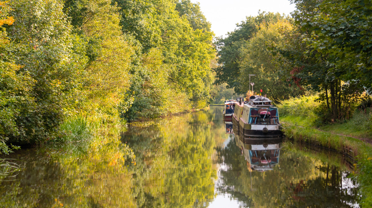 Peaceful Staffordshire canal lined with lush green trees, calm reflective water, and moored narrowboats under soft afternoon light.
